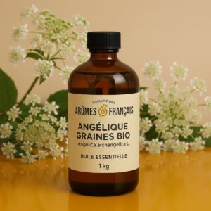 ANGÉLIQUE GRAINES BIO