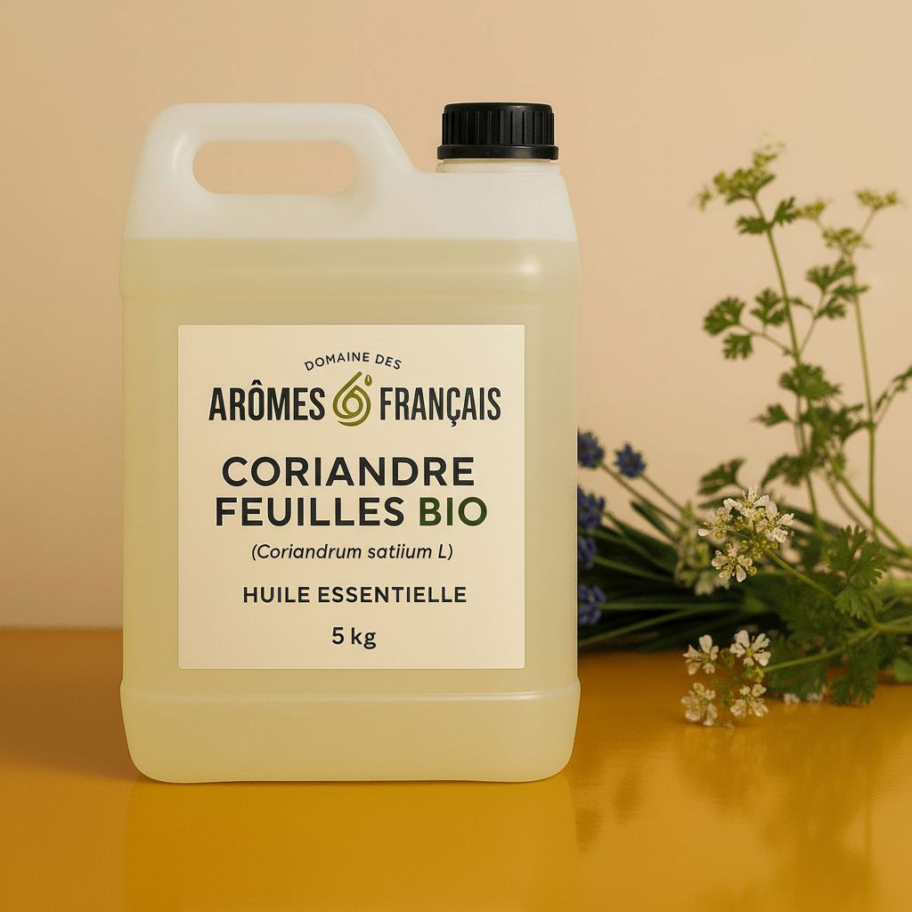 CORIANDRE FEUILLES BIO – Image 2