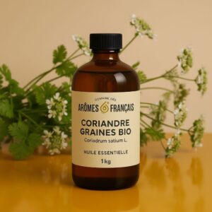 CORIANDRE GRAINES BIO
