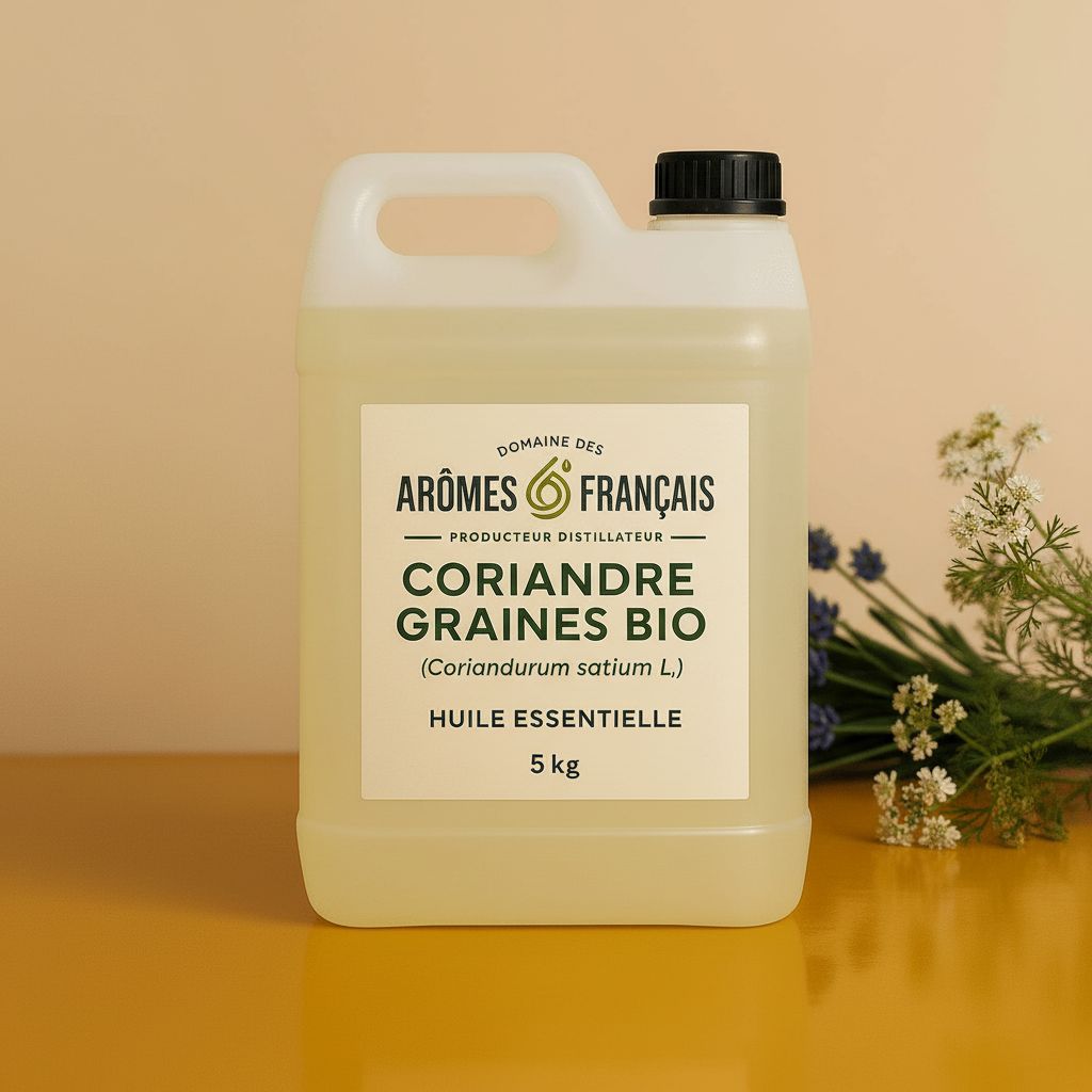 CORIANDRE GRAINES BIO – Image 2