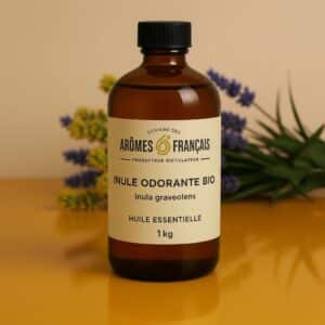 INULE ODORANTE BIO