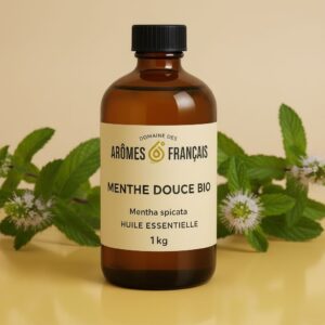MENTHE DOUCE BIO